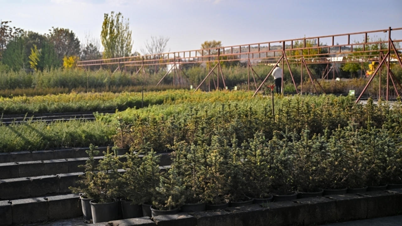 “Geleceğe Nefes” 6 yılda 34 milyon fidanı yeşillendirdi