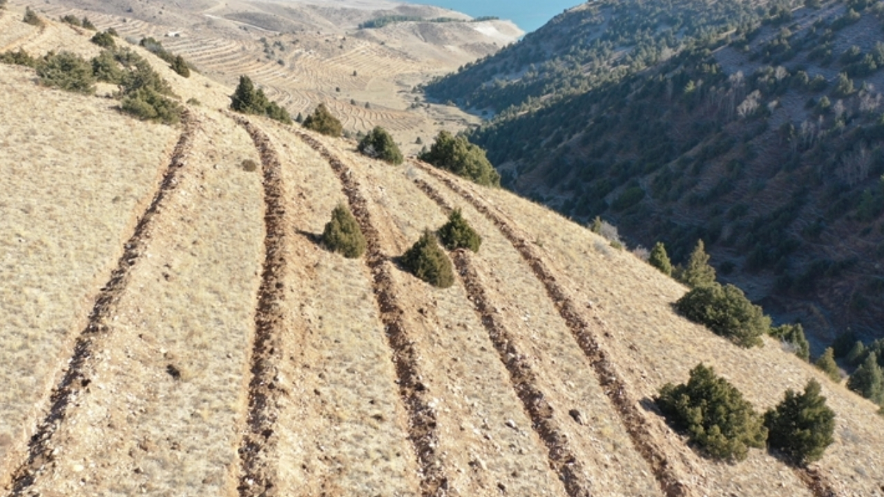 Doğu Anadolu’da yaklaşık 9 milyon fidan ve tohum toprakla buluşturuldu