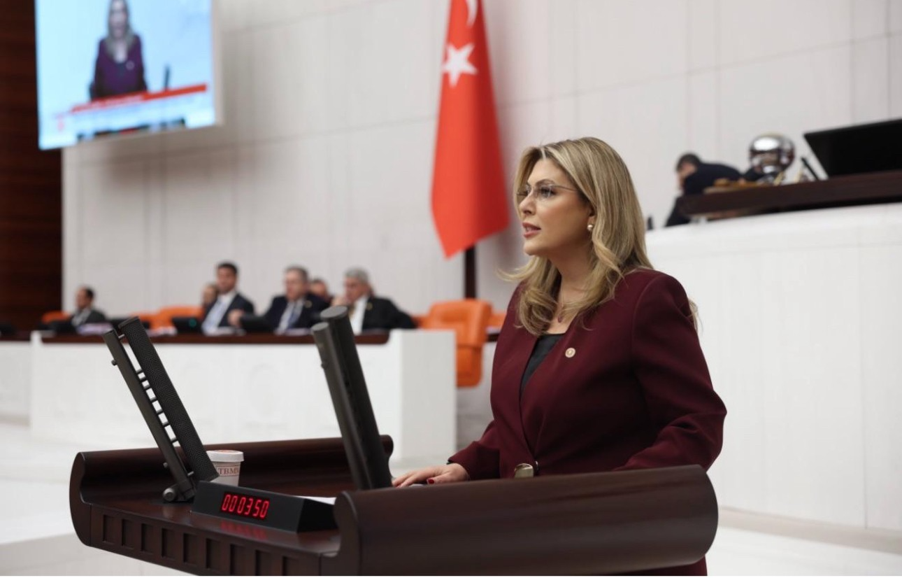 Elvan Işık Gezmiş; Bu bütçe halkın bütçesi değil