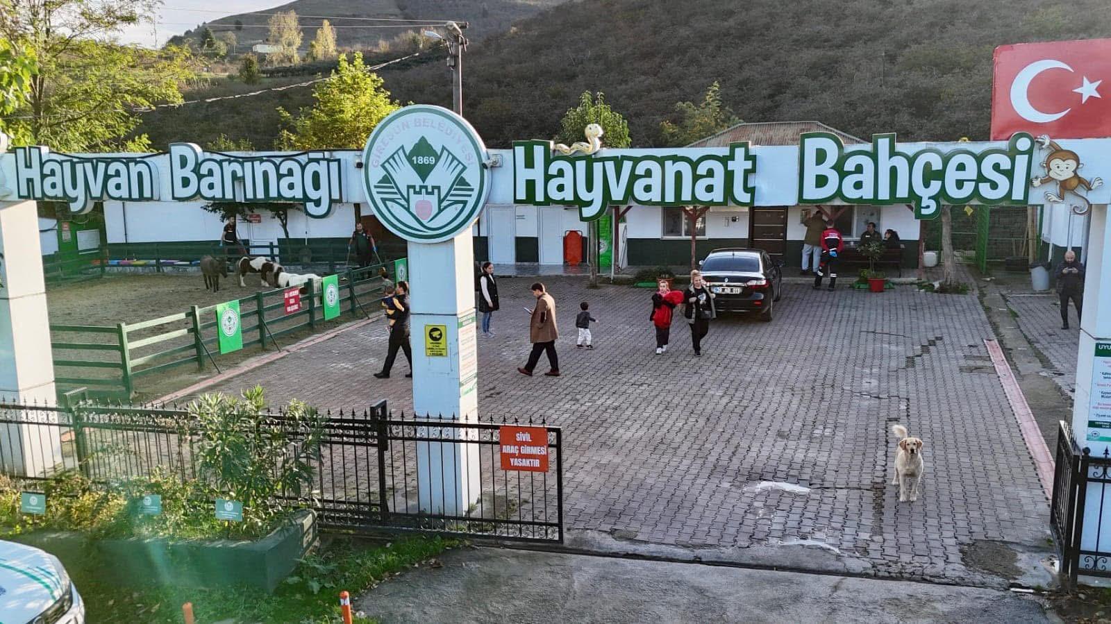 Giresun Belediyesi hayvan barınağı örnek çalışmaları