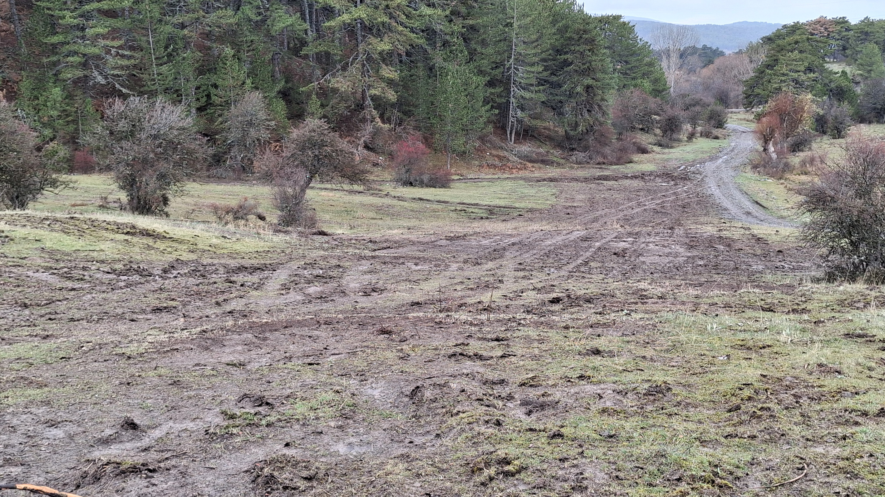 Belediye Kızak şenliği yapılacak pistte düzenleme yaptı