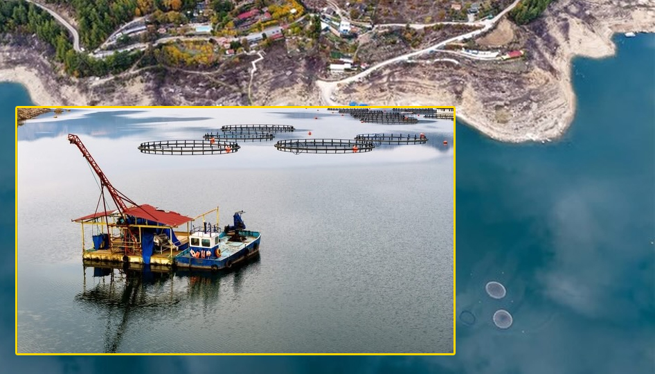 Karacaören Barajı’nda balıkçılık canlanıyor