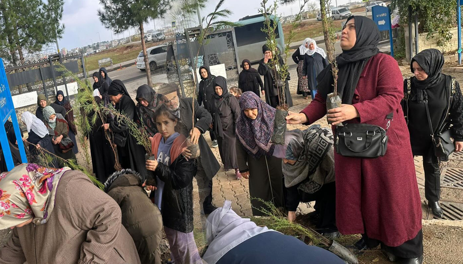 Batman'a ücretsiz fidan dağıtımı