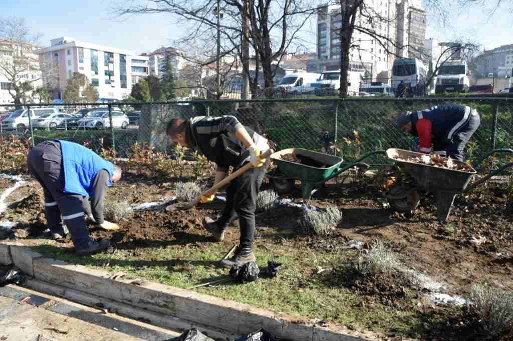 19 Kasım’da yaşanan büyük felakette yıkılan ağaçların yerlerine lavanta ekimine başlandı