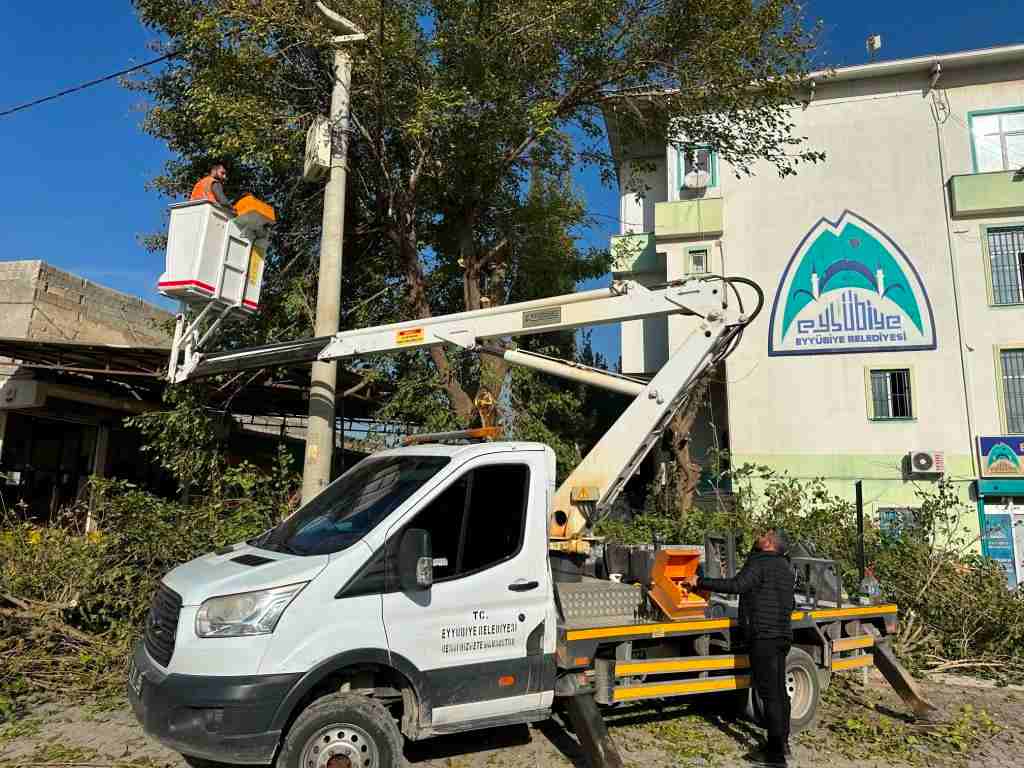 Eyyübiye Parklarında Bakım 