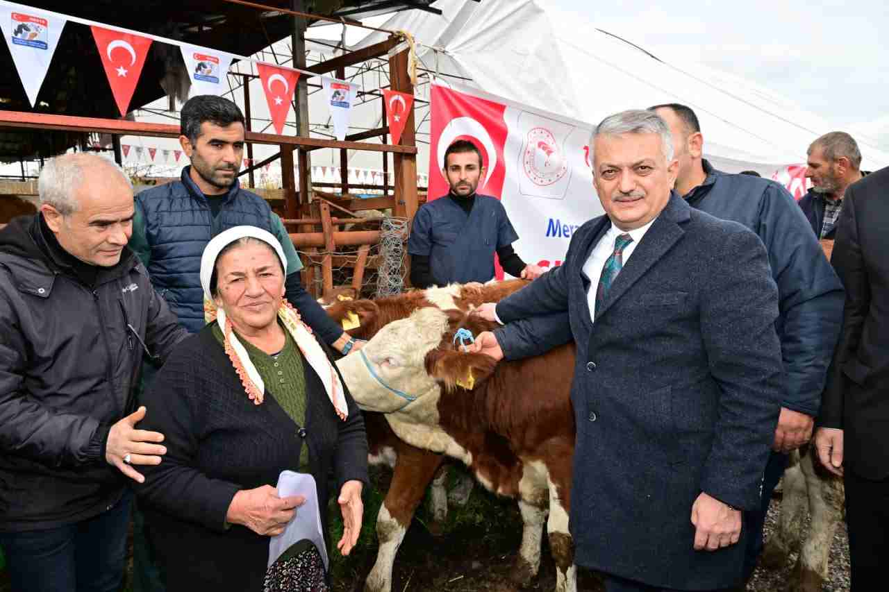 Malatya'da depremzede üreticilere büyükbaş ve sıvat dağıtıldı