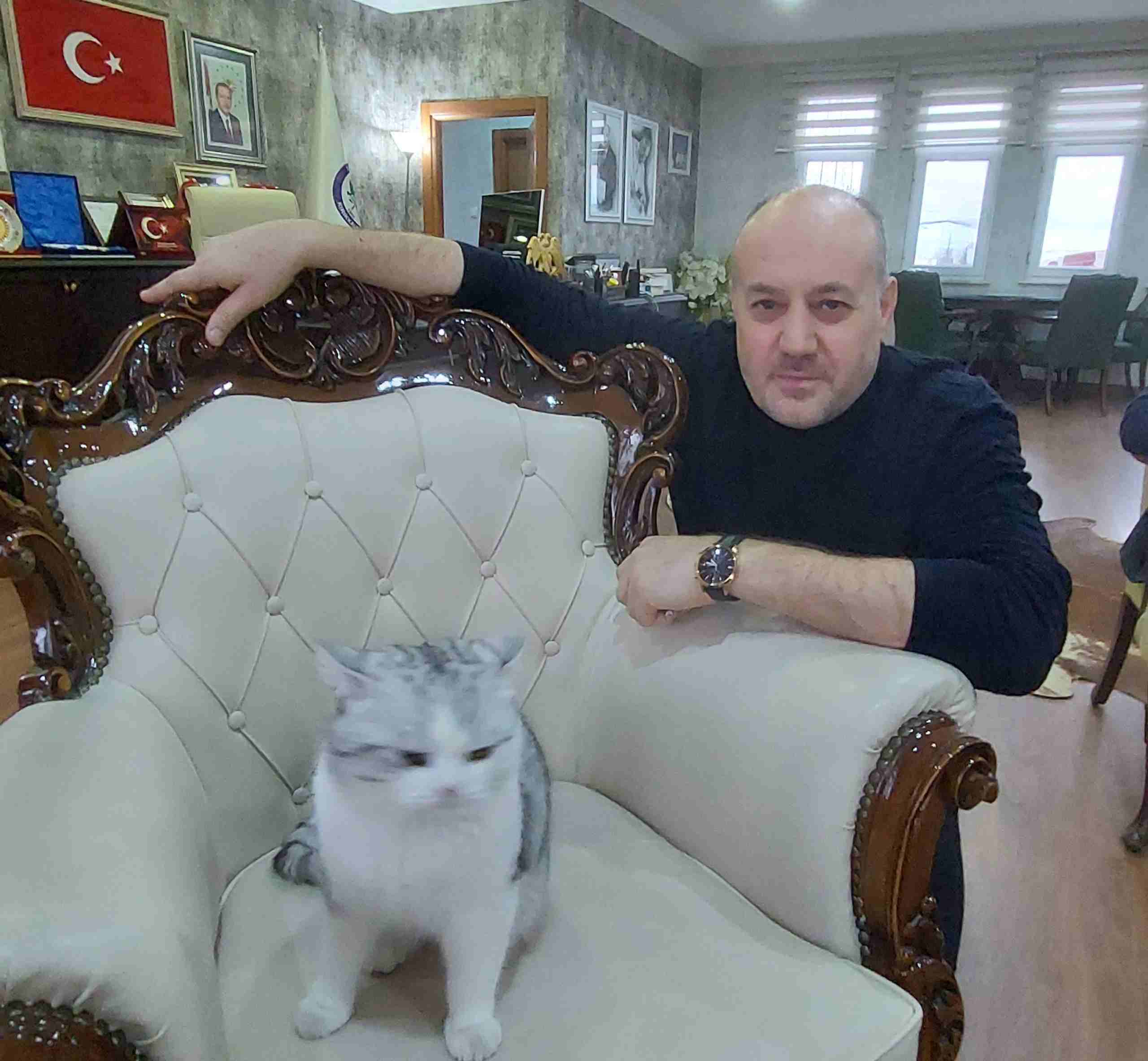 Kedi 'Mars' Belediyesi'nin maskotu