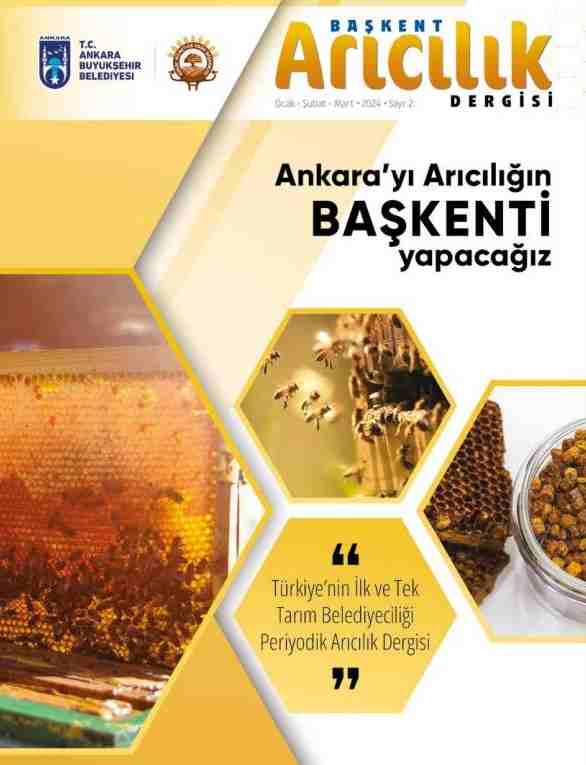 ABB, Başkent Arıcılık Dergisi'nin 2'nci sayısını online olarak yayınlamaya başladı