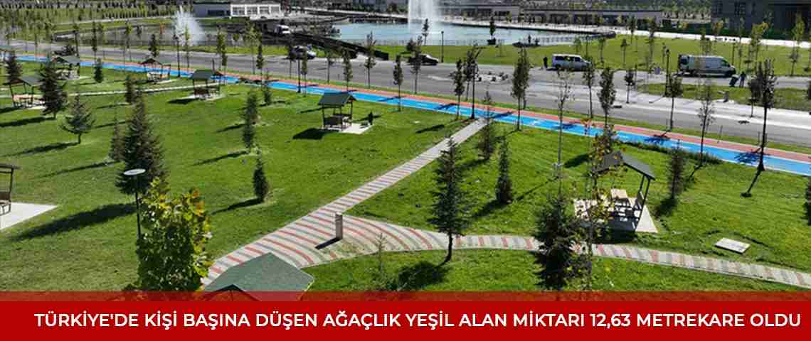 Türkiye'de kişi başına düşen yeşil alan miktarı belli oldu