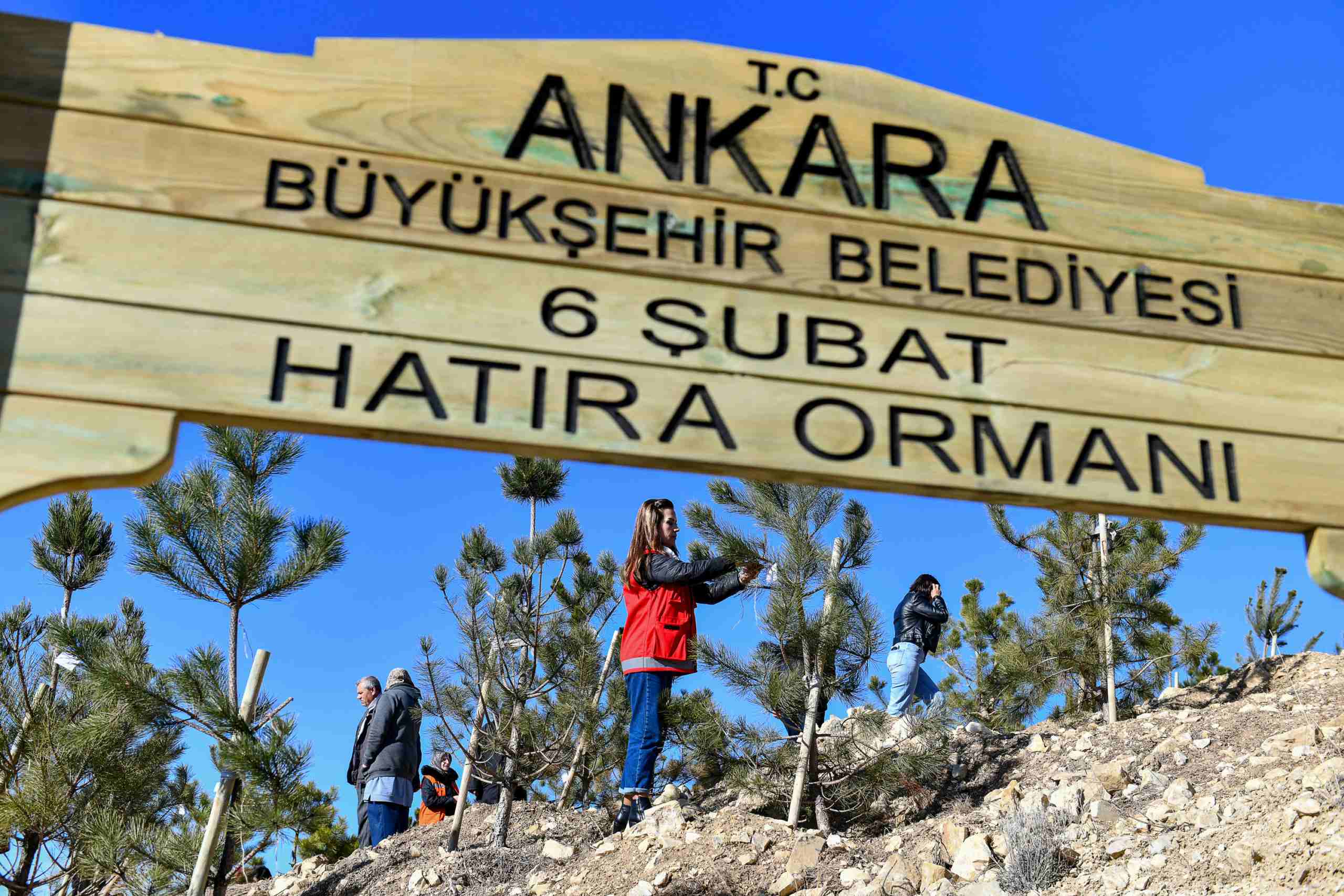 Ankara Büyükşehir Belediyesi'nden 6 Şubat depremi anısına hatıra ormanı