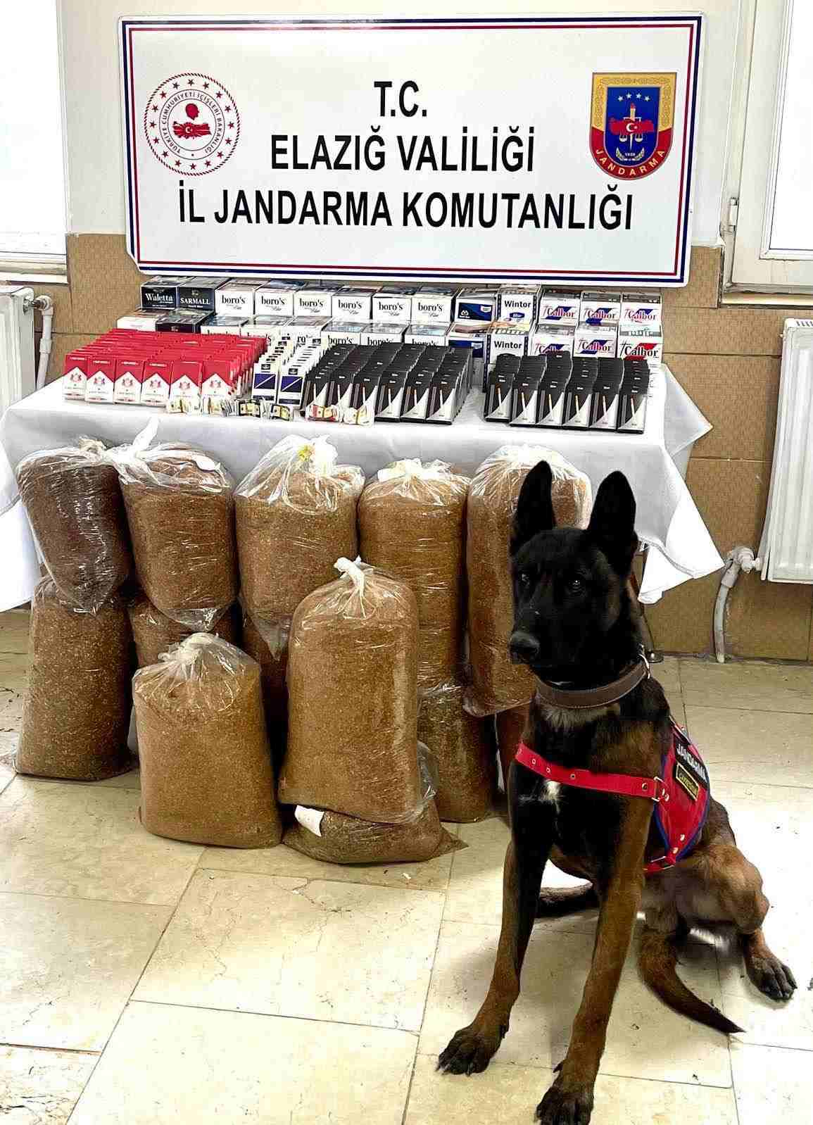Elazığ'da kaçak sigara operasyonu