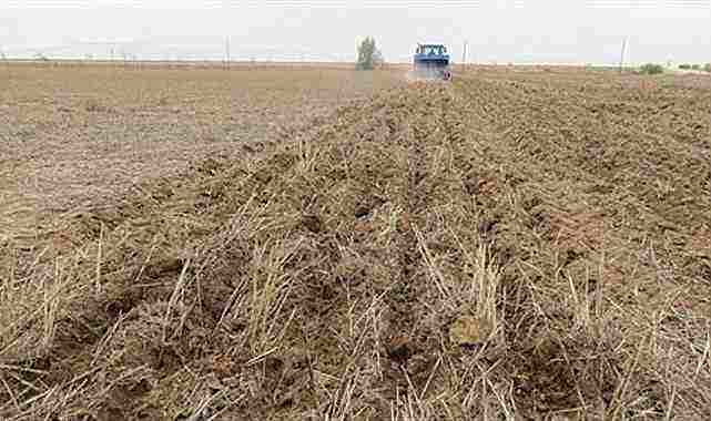 Ardahan'da tarım ve hayvancılık sezonu başladı