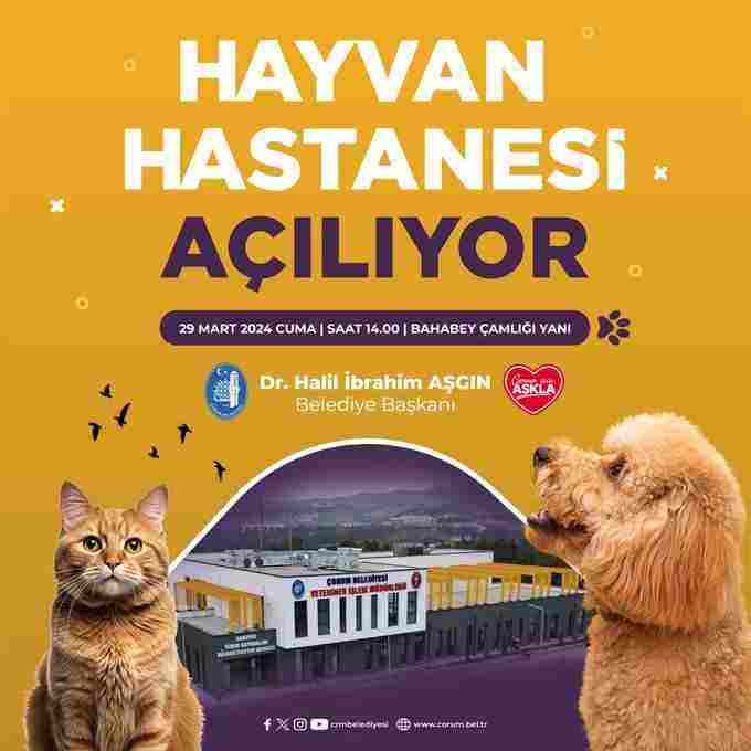 Çorum Belediyesi, Bölgenin En Modern Hayvan Hastanesini Açıyor!
