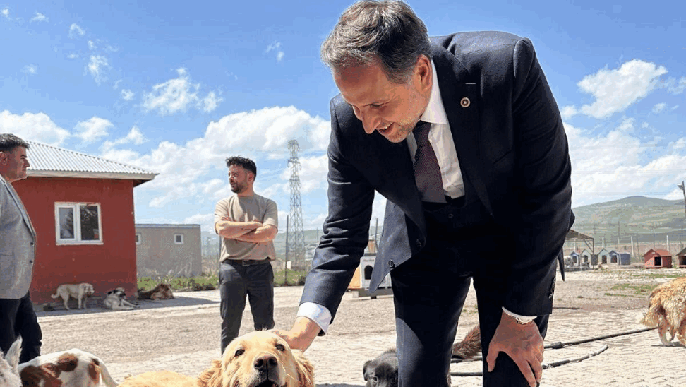 Özgür Erdem İncesu: Sokak hayvanlarımızı "uyutmak" yerine onlara daha güzel koşullarda yaşam alanları sunmaktır