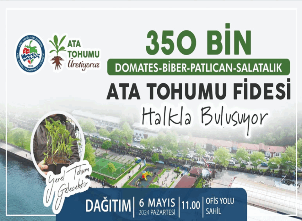 Kdz. Ereğli Belediyesi, 350 Bin Ata tohumu fidesi dağıtacak