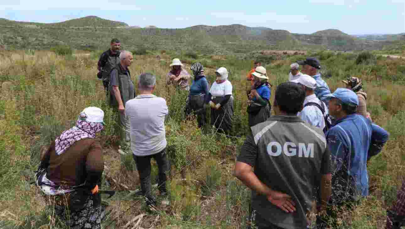 Antalya büyük yangının izleri siliniyor