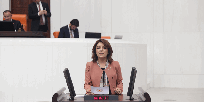 Mersin Milletvekili Kış, Otizmli Çocukların ve Ailelerinin Sesi Oldu