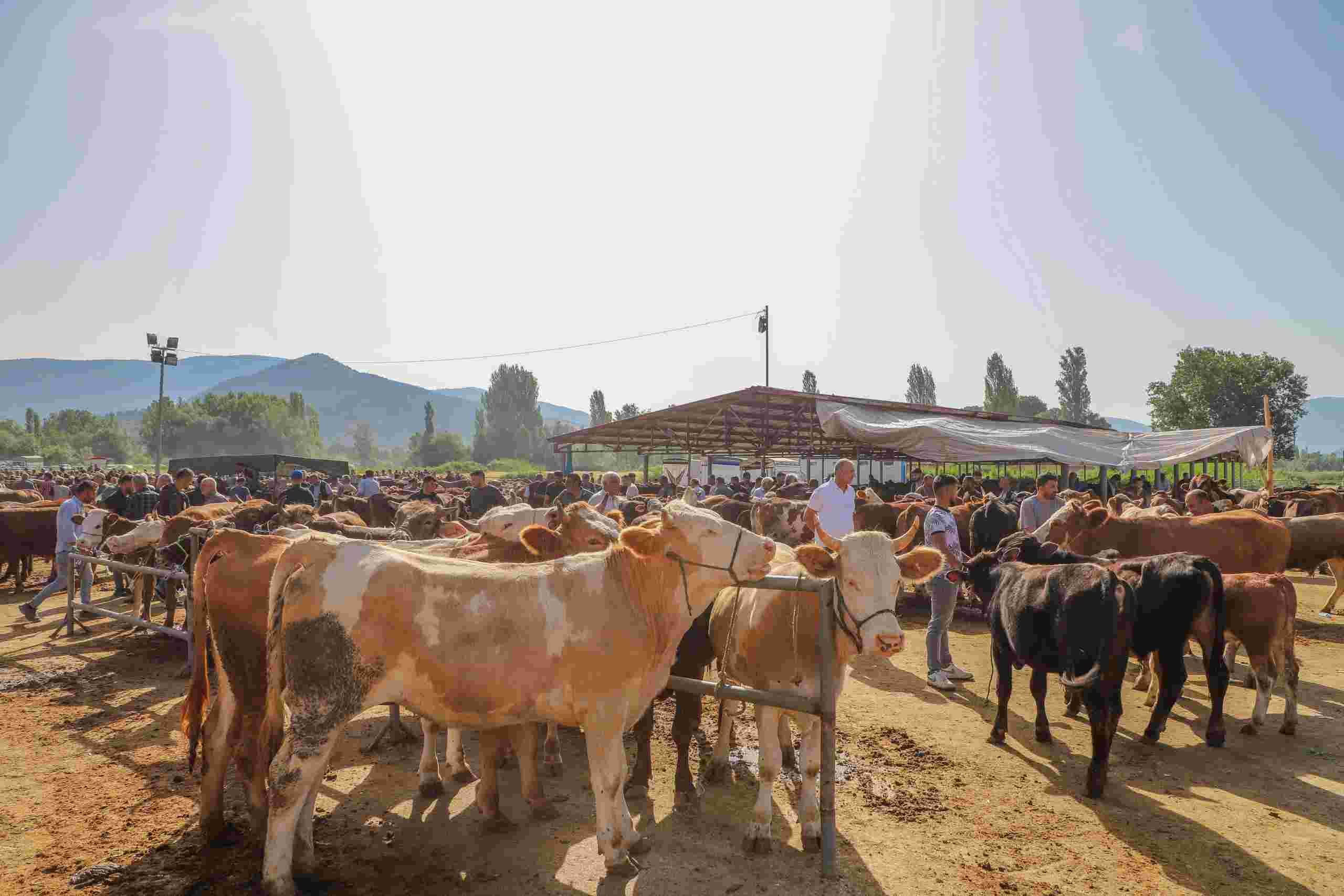 Turhal Belediye Başkanı Ural’dan Kurban Pazarına ziyaret