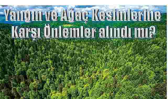 Ardahanlılar orman yangınlarına karşı önlem bekliyor