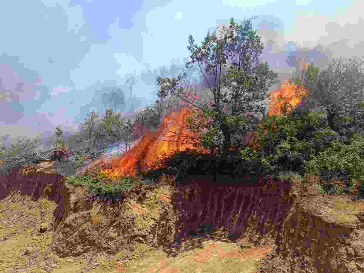 Bingöl'de 68 hektar alan yangında zarar gördü