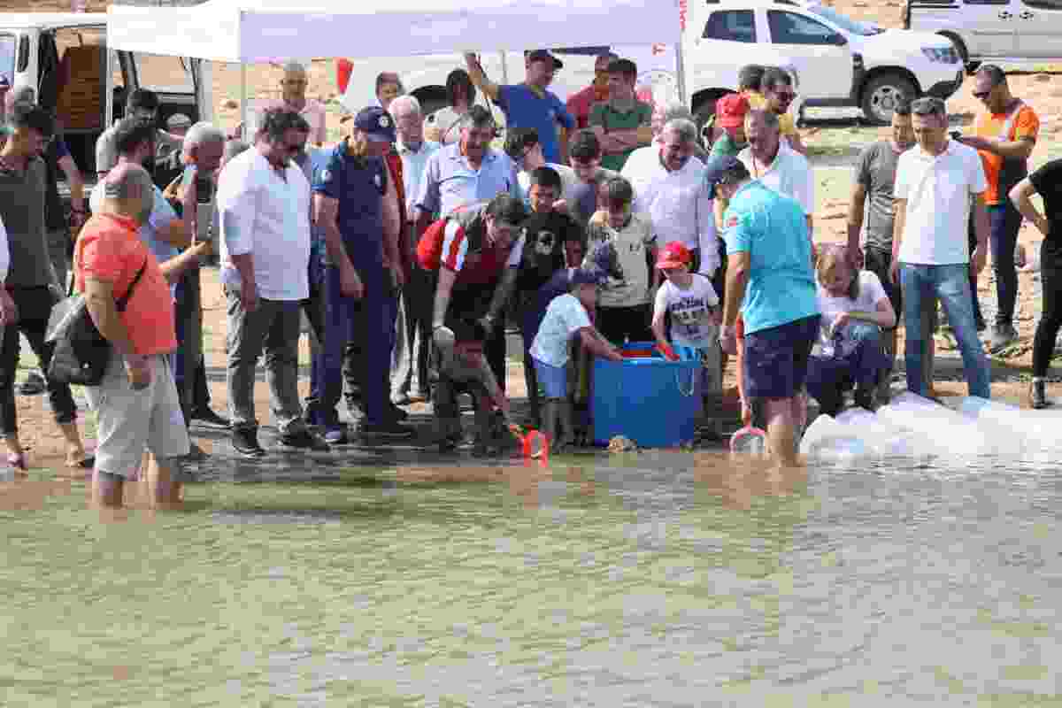 Geyik Barajı’na 100 bin balık yavrusu bırakıldı
