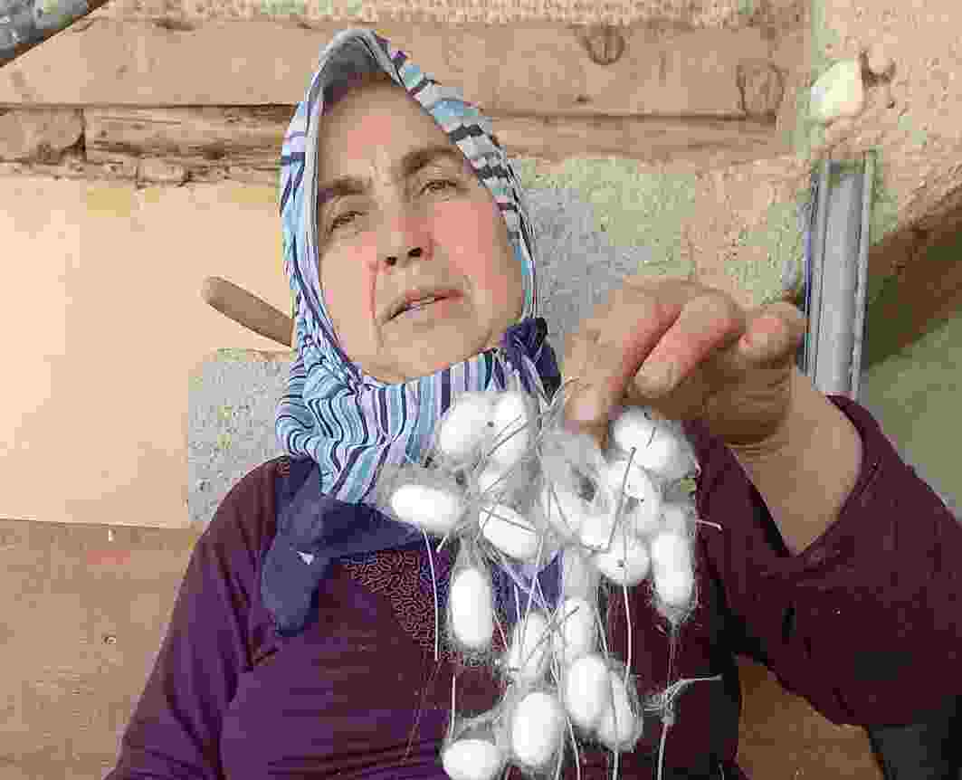 TARİHİ İEPKYOLU ÜZERİNDE İPEK KOZASI TOPLAMA ANI