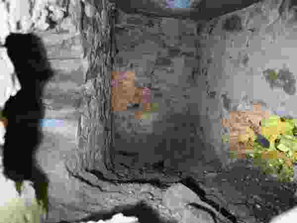 Kastamonu sahilinde bulundu: Tam 2 bin 300 yıllık