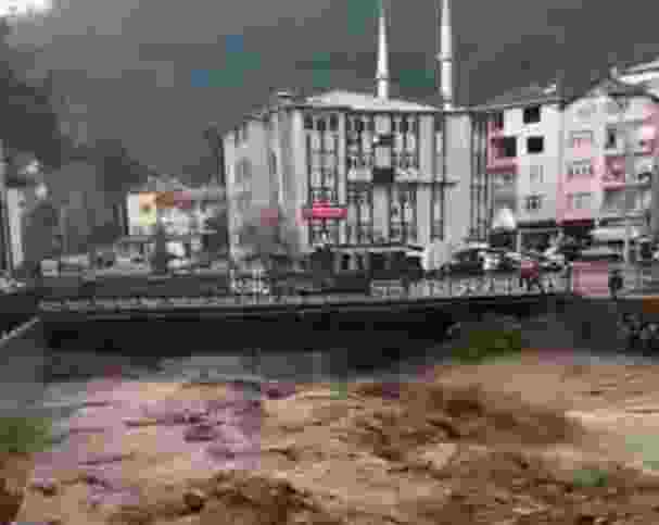 Ordu ve Muş'ta sel felaketi: 2 ölü