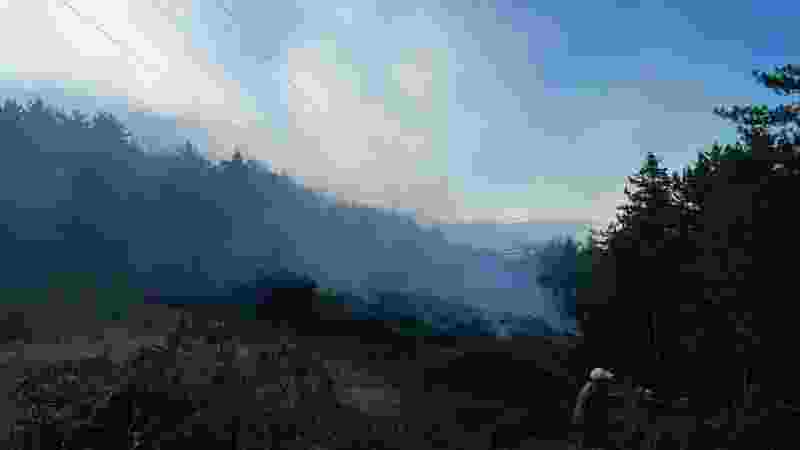 Kastamonu’daki ormanda yine yangın!