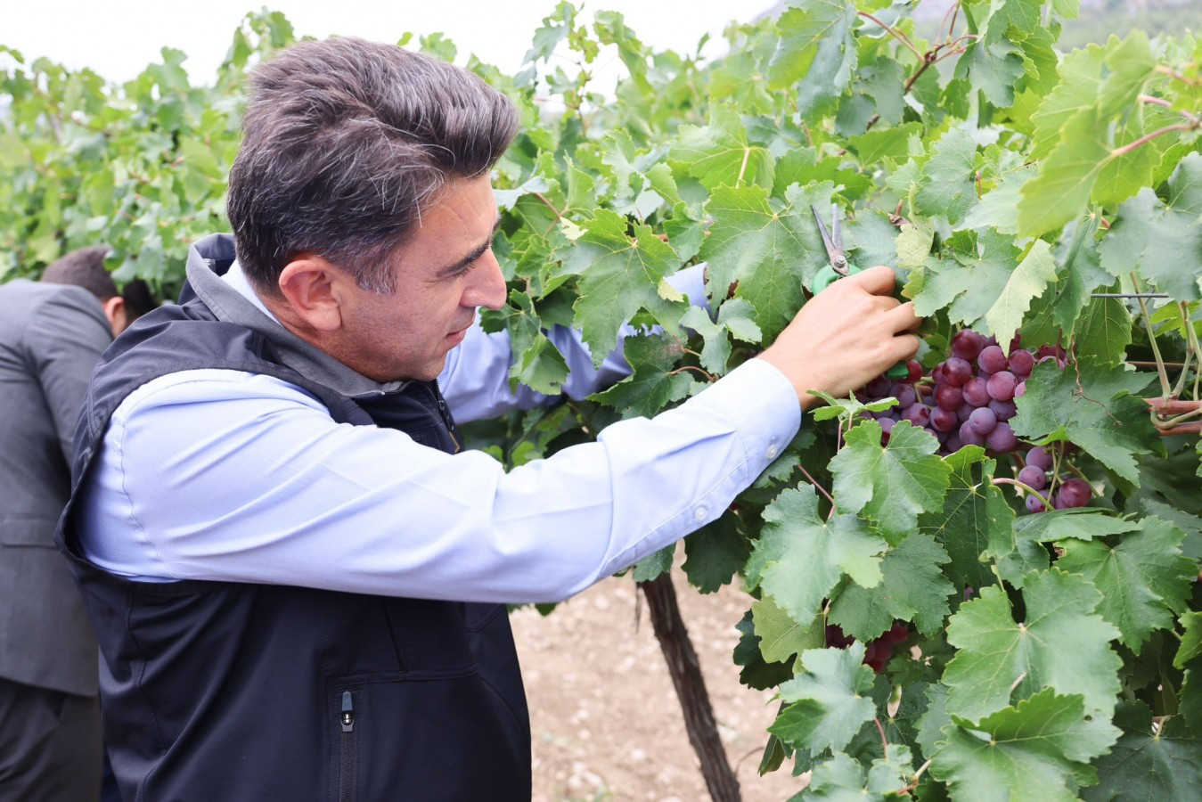 Bilecik Valisi Aygöl: "Bu topraklar bereketin simgesidir"