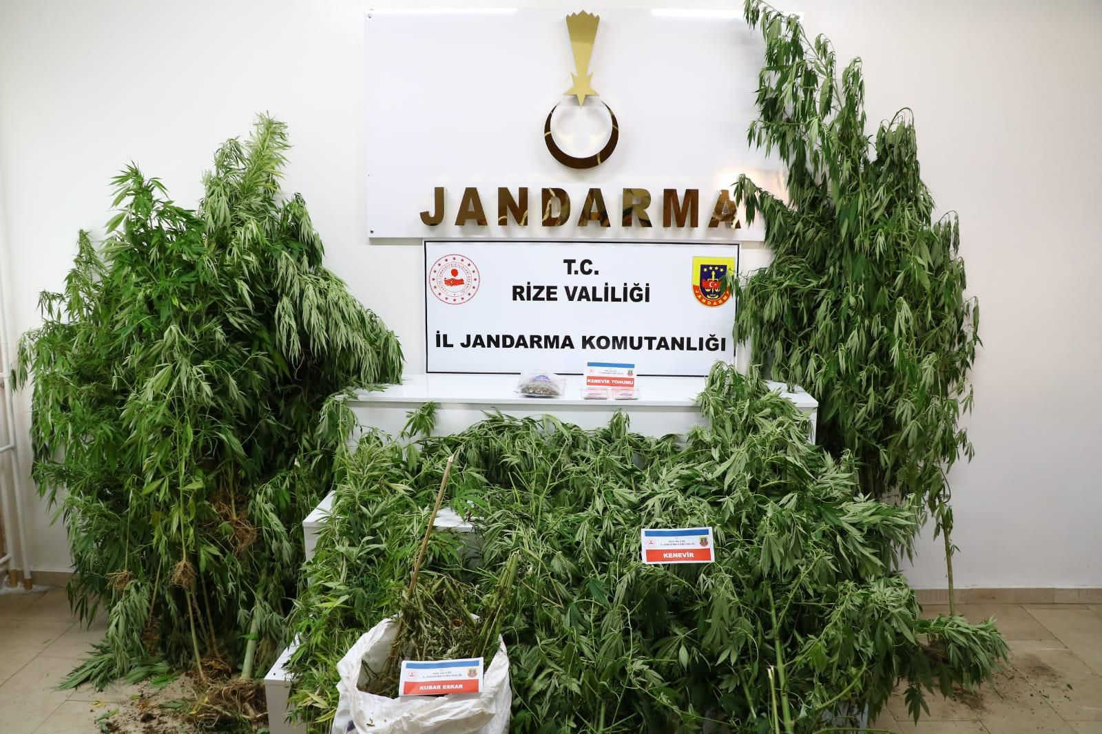 Rize İl Jandarma Komutanlığı madde bağımlılara göz açtırmıyor