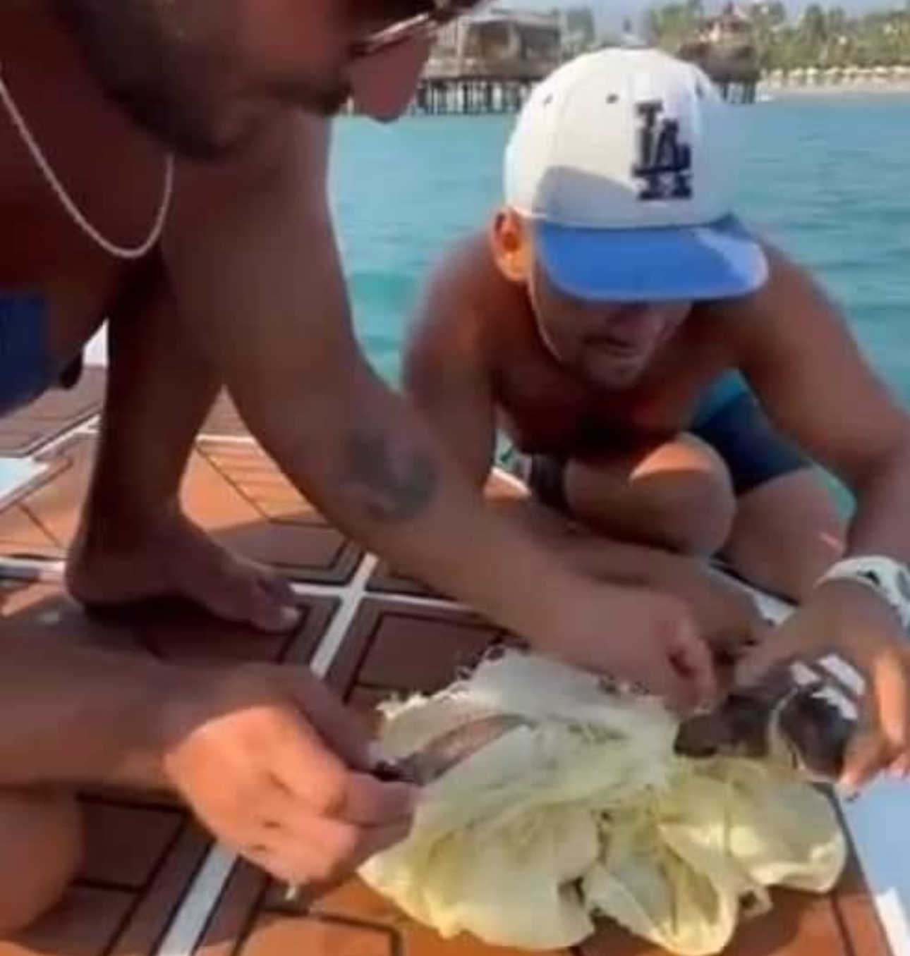 Alanya’da çuvala dolanan caretta caretta yavrusu kurtarıldı