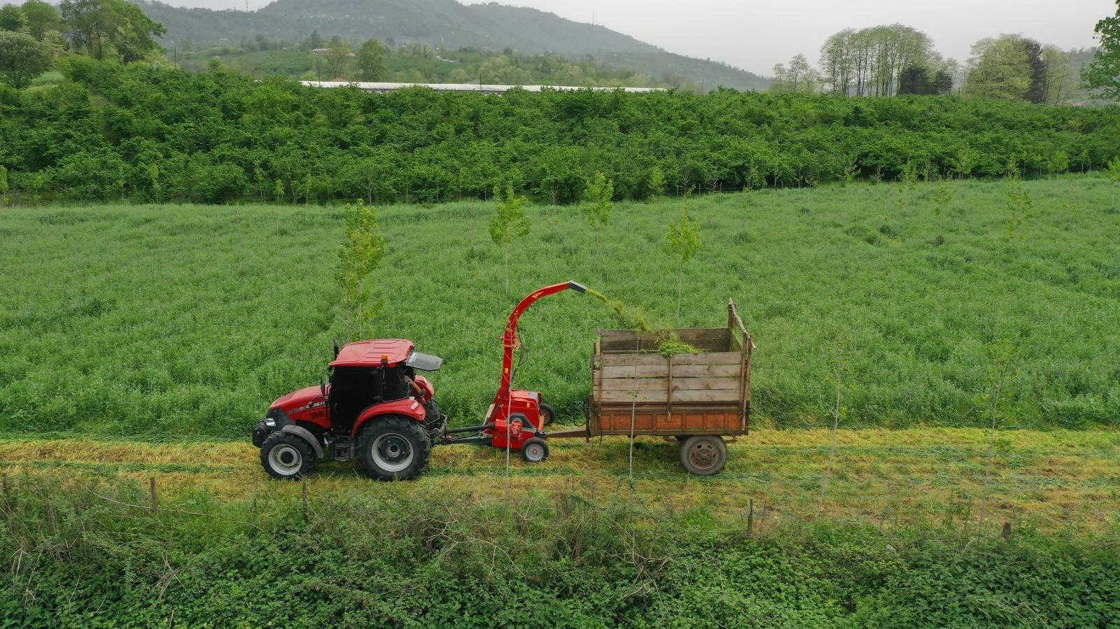 Ordu, tarım ve hayvancılıkta çıtayı yükseltti