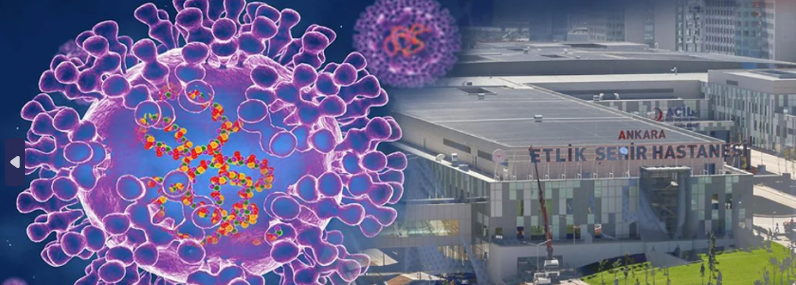 Ankara'da Maymun çiçeği iddiası