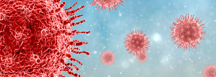 DMM açıkladı! Maymun Çiçeği vakası Türkiye'ye mi sıçradı?