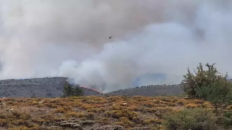 Ankara'da başlayan yangın Bolu'ya sıçradı
