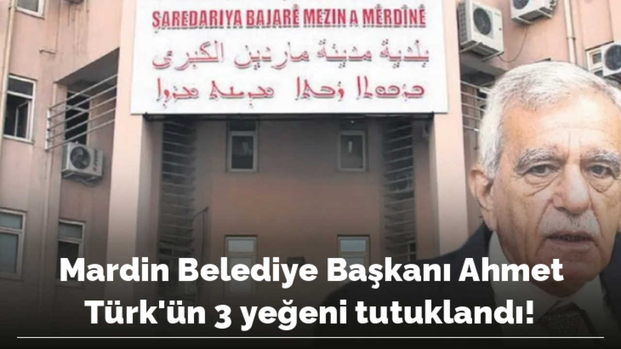 Mardin Belediye Başkanı Ahmet Türk'ün 3 yeğeni tutuklandı!