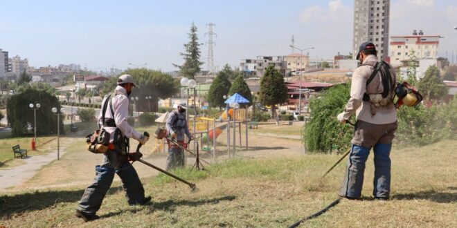 Toroslar'ın park ve yeşil alanlarında sonbahar hazırlığı