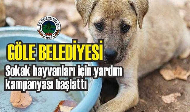 Göle Belediyesi'nden sokak hayvanlarına destek kampanyası