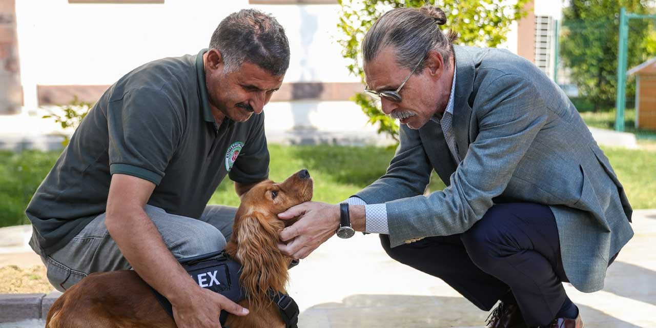 Etimesgut'ta 5 sokak köpeği daha belediyede işe başladı: Erdal Beşikçioğlu duyurdu