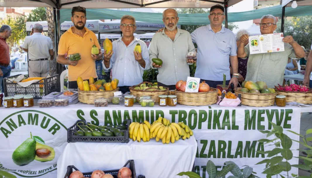 Mersin'de tropikal meyve şenliği coşkusu
