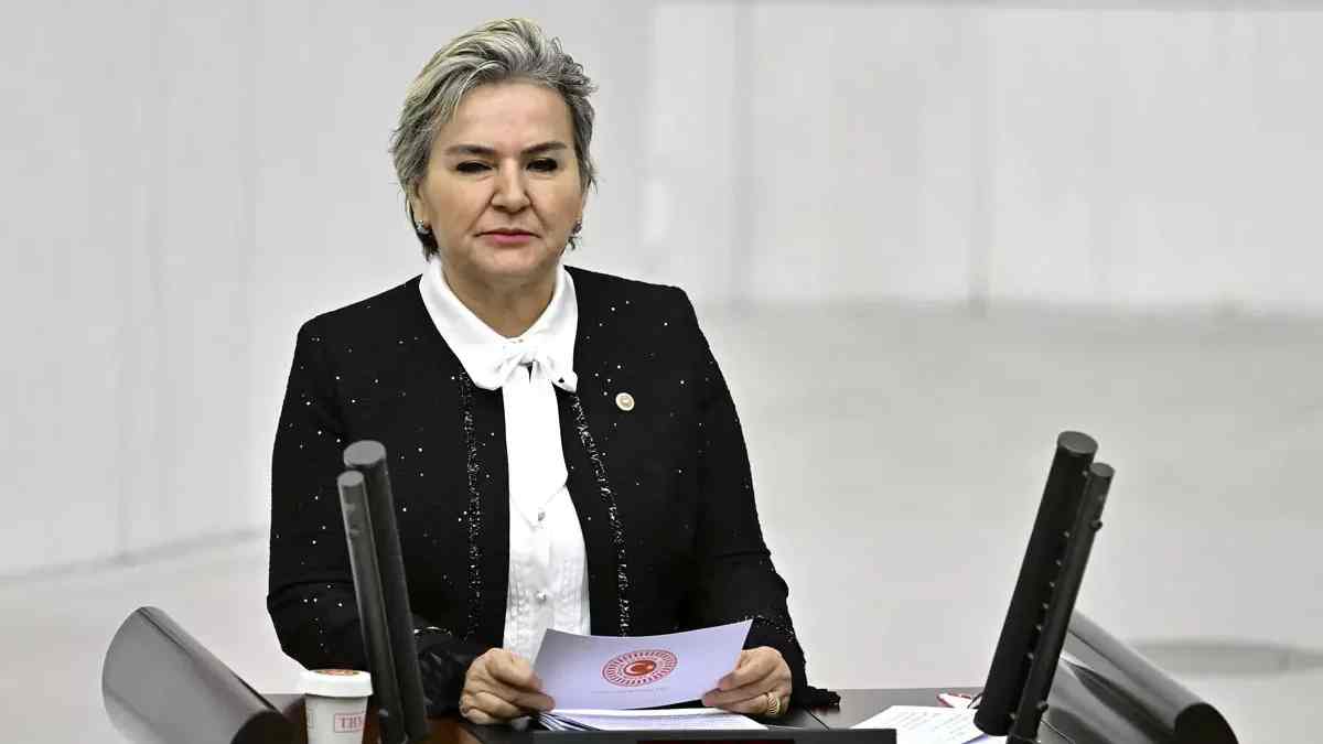 Eski İYİ Parti Milletvekili Nimet Özdemir CHP'ye katılıyor
