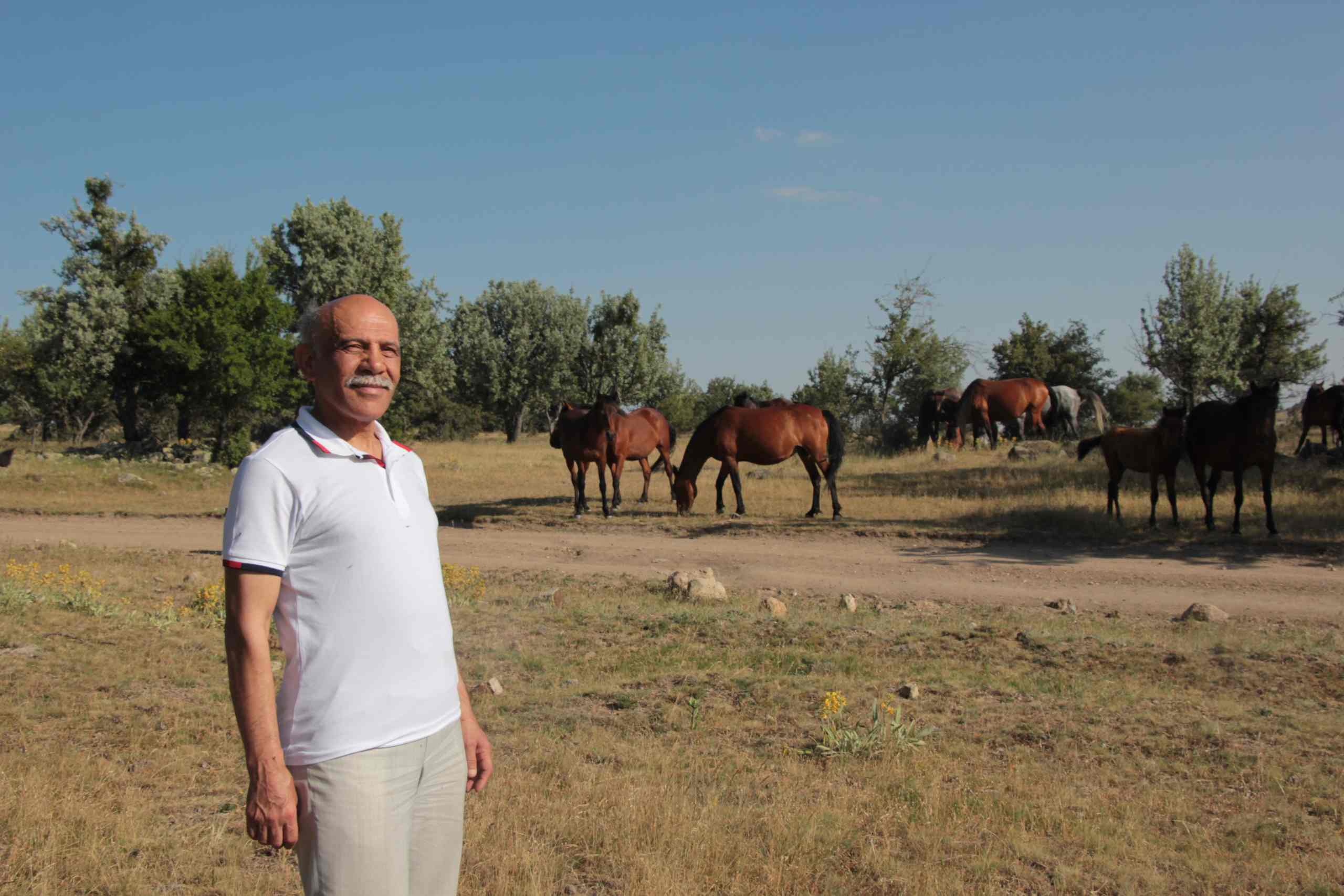 DP Beypazarı İlçe Başkanı Enver Atak: Yılkı ataları yaylaların gülü