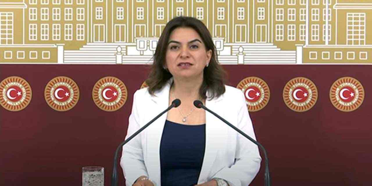 Kars Milletvekili Gülüstan Kılıç Koçyiğit, Kars'ın sağlık sorunlarını TBMM'ye yaşıdı