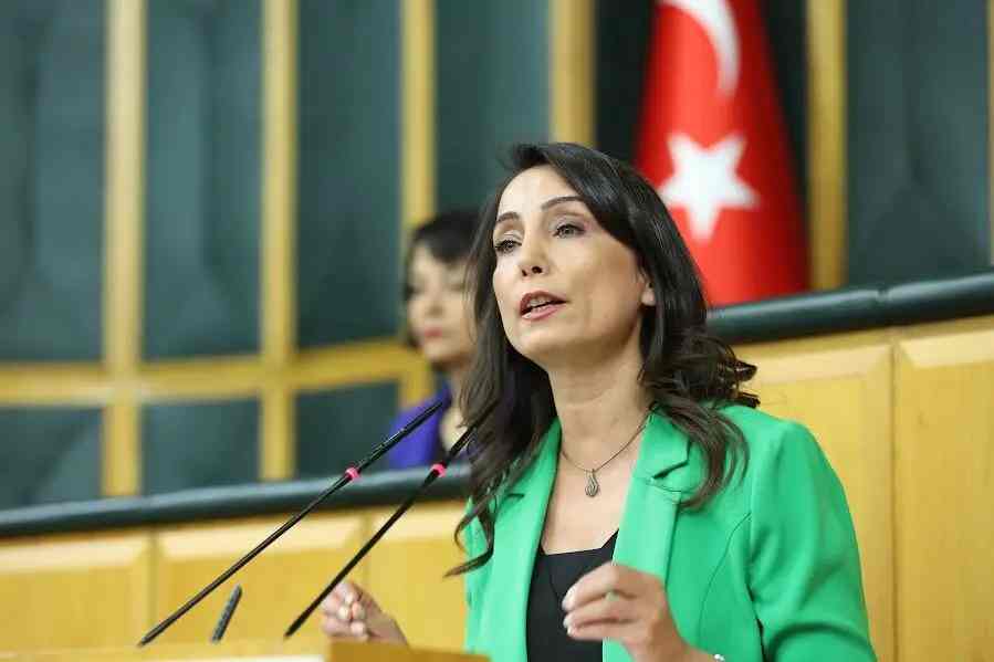 DEM Parti'den Bahçeli'ye cevap