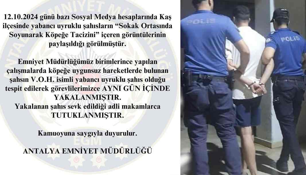 Kaş'ta yabancı uyruklu kişi sokak köpeğini taciz etti