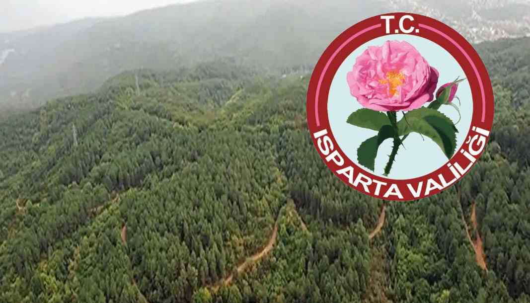 Isparta Valiliğinden ağaç katliamı haberleri üzerine açıklama