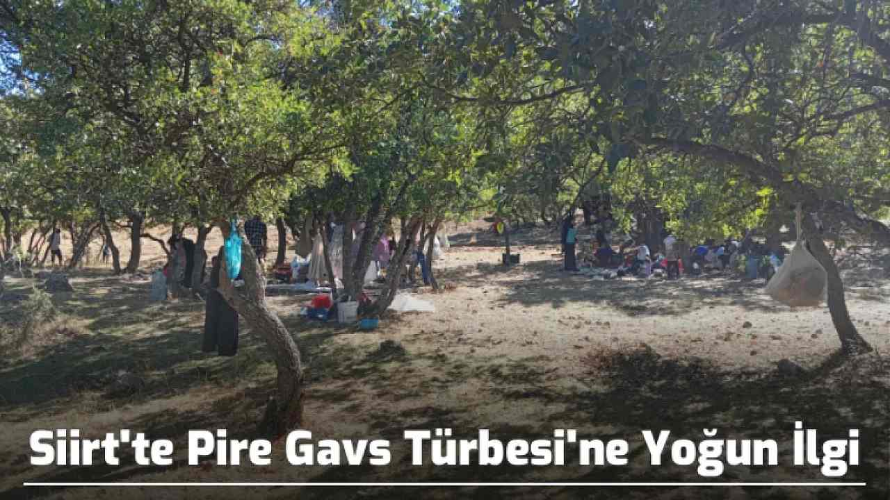 Siirt'te Pire Gavs Türbesi'ne Yoğun İlgi