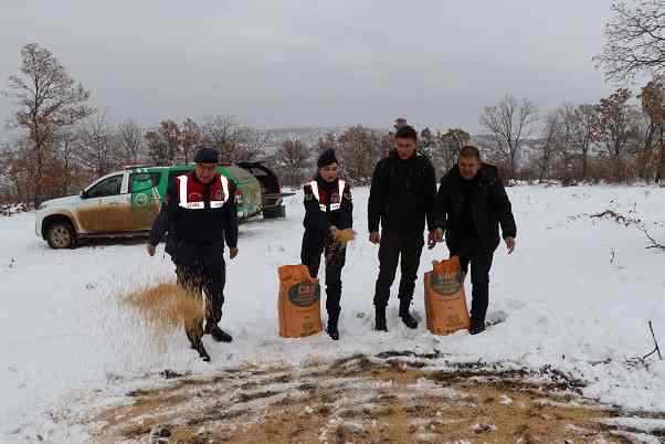 Kırıkkale’de yaban hayvanları için doğaya yem bırakıldı