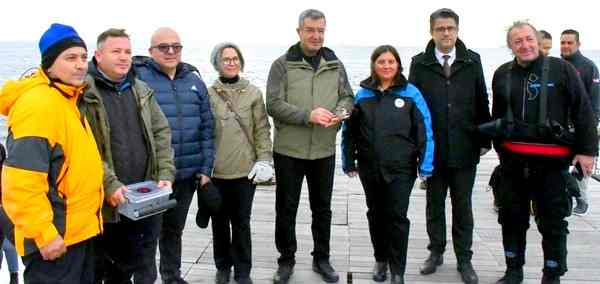 400 ıstakoz yavrusu tarihi batığa bırakıldı